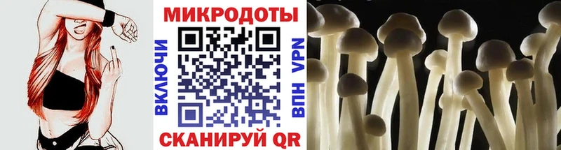 Галлюциногенные грибы Cubensis  OMG маркетплейс  Оленегорск 